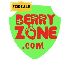 Berryzone.com at Cyber Meg